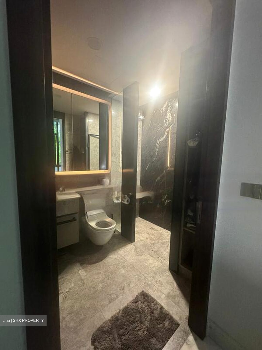 Van Holland (D10), Condominium #472899191